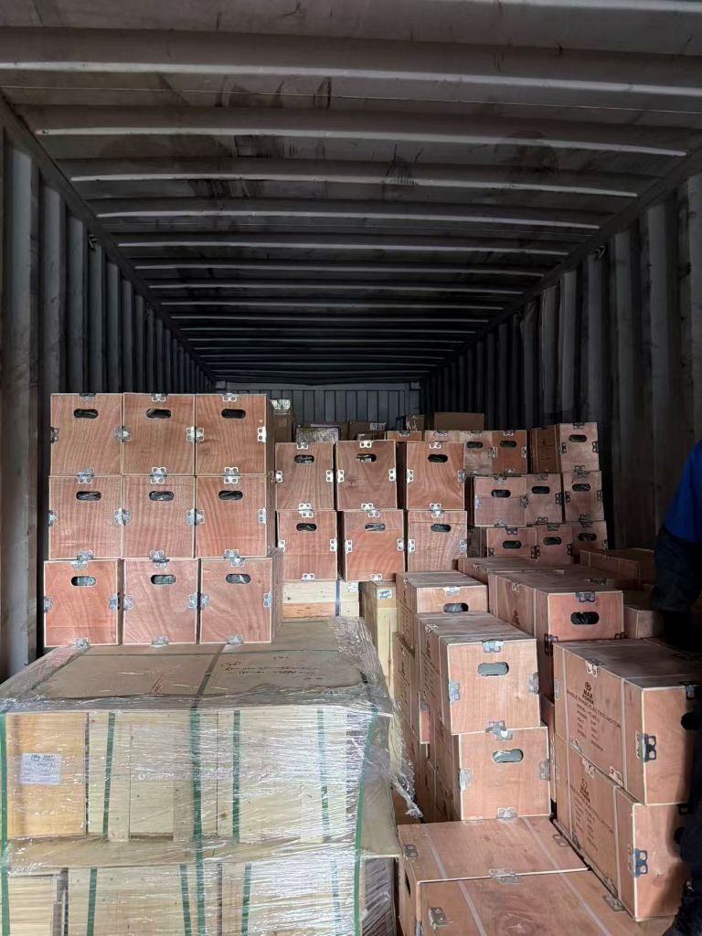 Custom Electric Motor for OEM Projects