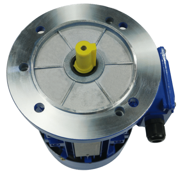 Single Phase Induction Motor with High Torque