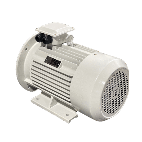 Electric Motor for Industrial Machines